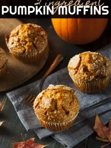 Quick and easy 2 ingredient pumpkin muffins. These pumpkin muffins are low fat, delicious and super easy to make. Great for a quick fall breakfast!