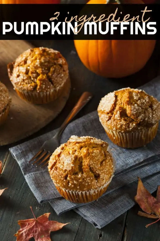 Quick and easy 2 ingredient pumpkin muffins. These pumpkin muffins are low fat, delicious and super easy to make. Great for a quick fall breakfast!
