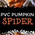 Spook up your front yard this Halloween with a simple to DIY PVC Pumpkin Spider. All you need is a few PVC fittings and a pumpkin of your choosing.