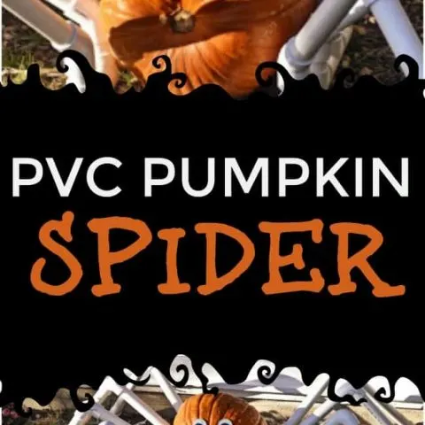 Spook up your front yard this Halloween with a simple to DIY PVC Pumpkin Spider. All you need is a few PVC fittings and a pumpkin of your choosing.