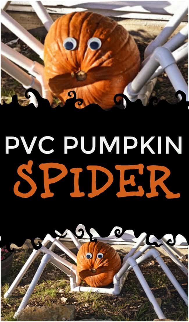 Spook up your front yard this Halloween with a simple to DIY PVC Pumpkin Spider. All you need is a few PVC fittings and a pumpkin of your choosing.