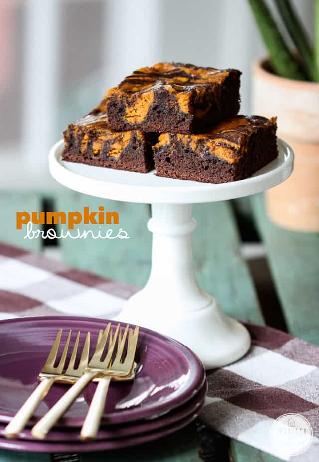 pumpkin-brownies