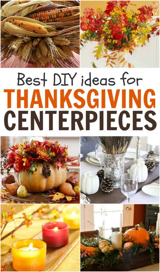 Thanksgiving is nearing and it's time to start thinking about the centerpieces for the big day. These DIY Thanksgiving Centerpieces would be perfect!