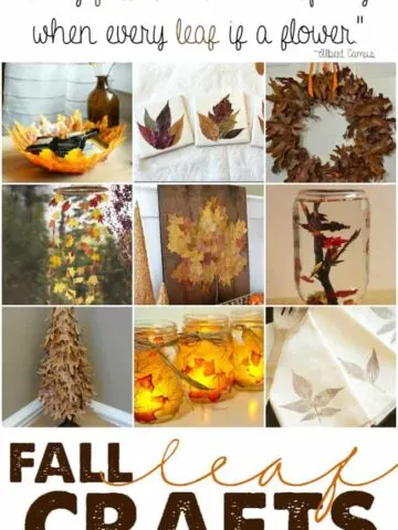 Fall Leaf Crafts