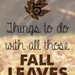 5 things to do with all those fall leaves