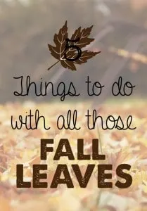 5 things to do with all those fall leaves