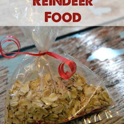 Magic Reindeer Food
