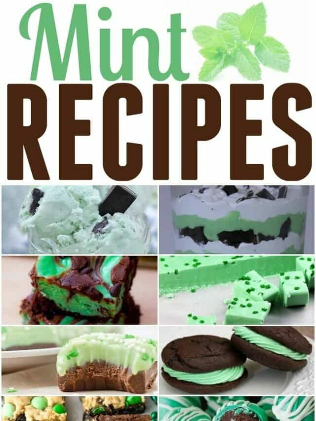 Refreshing Mint Recipes!! | Today's Creative Ideas