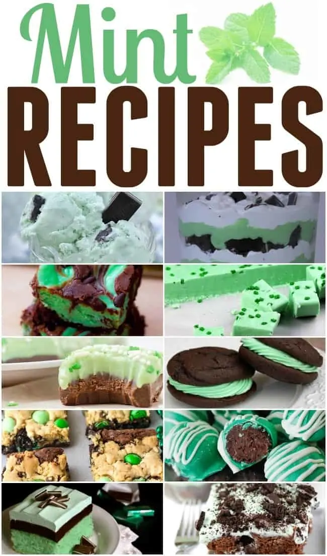 St. Patrick's Day is right around the corner, can't believe it is March already can you? What better way to celebrate the day than with some green and delicious mint recipes on your plate. These are all dessert recipes so if you have a sweet tooth you are in for a treat. #StPatricksDay #MintRecipes #StPatricksDayTreats #StPatricksDayDesserts