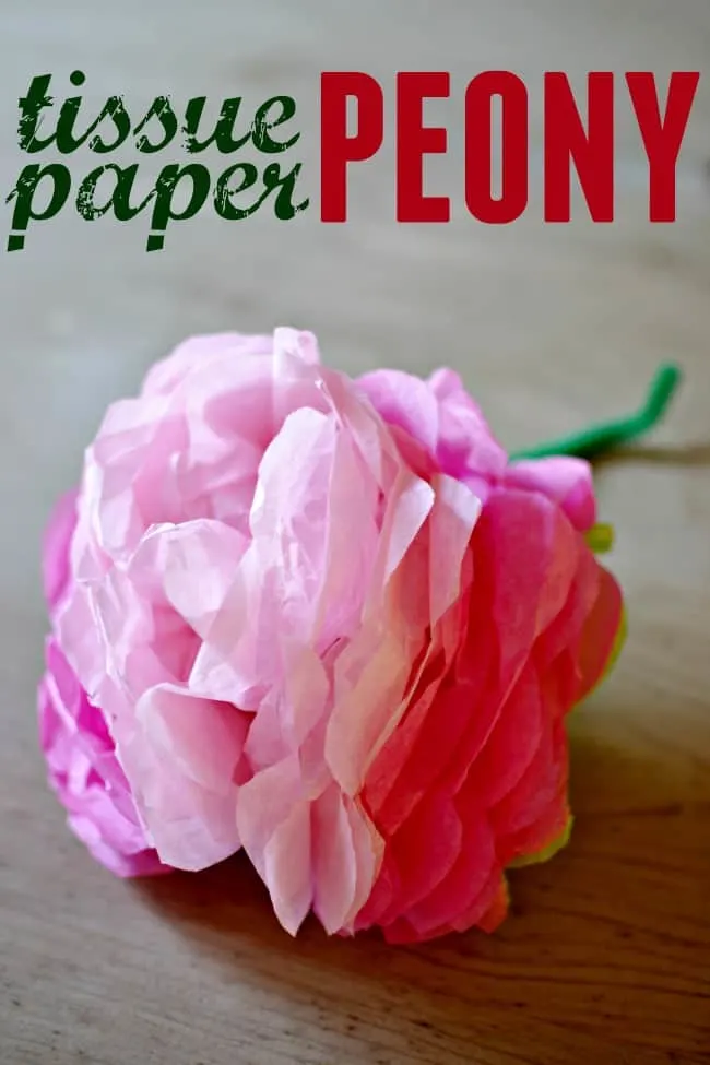 Create this fun tissue paper peony to give your home a little Spring love.