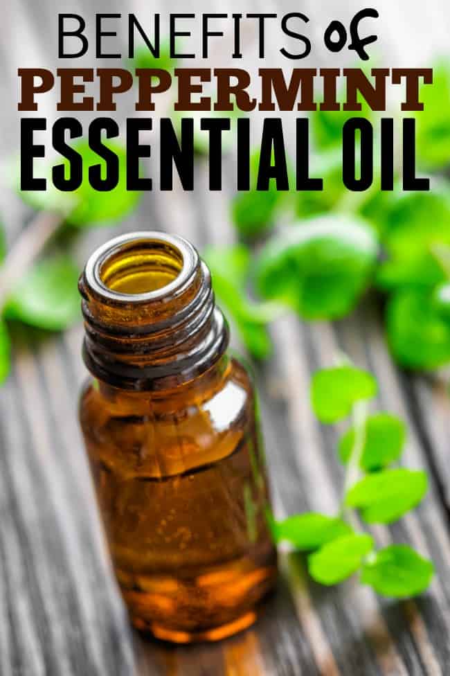 Top benefits Peppermint Essential Oil. A list of the most common and favorite uses and benefits.