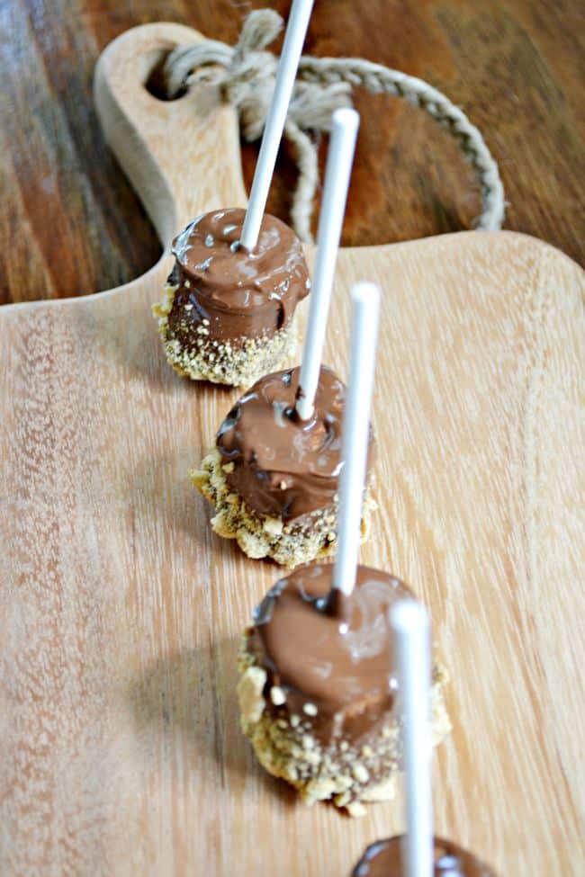 If you are looking for the perfect treat to take to a summer party then this is it. A S'more on a stick!