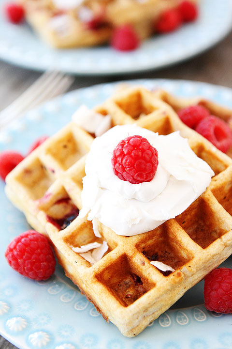 15 Best Waffle Recipes - How to make waffles | Today's Creative Ideas