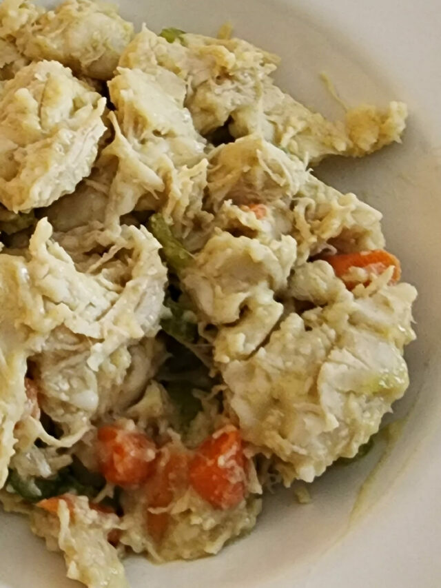 Canned Biscuits Chicken and Dumplings Today's Creative Ideas