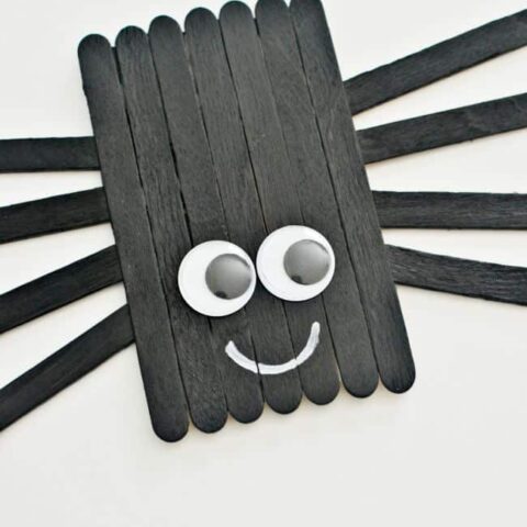 Create this cute little popsicle stick spider with your kids this Halloween. Also great for a book craft (IE: Charlotte's Web, etc.)
