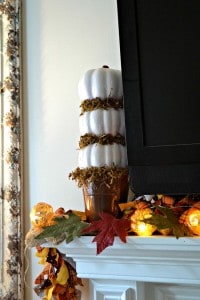 This quick and easy craft is perfect to add a touch of fall to your home. All supplies bought at the dollar store for a total of $5.