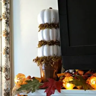 This quick and easy craft is perfect to add a touch of fall to your home. All supplies bought at the dollar store for a total of $5.