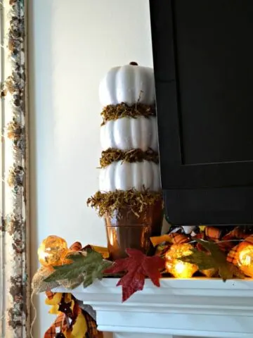 This quick and easy craft is perfect to add a touch of fall to your home. All supplies bought at the dollar store for a total of $5.