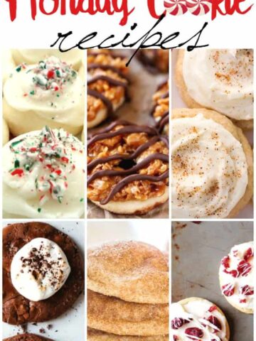 Bake up the perfect holiday cookie for your family, friends and cookie exchanges. Some of the best and easy recipes.