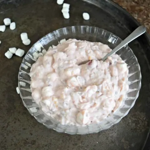 If you love marshmallow fluff salad then you will definitely want to give this Cherry Fluff Salad a try. So yummy! Perfect for any party or family gathering.