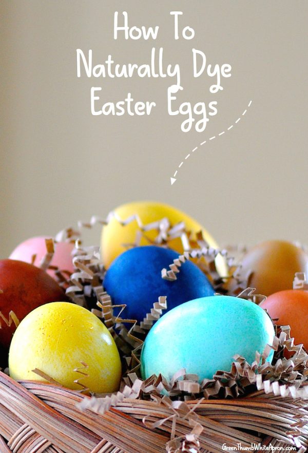 Best Way to Dye Easter Eggs Today's Creative Ideas