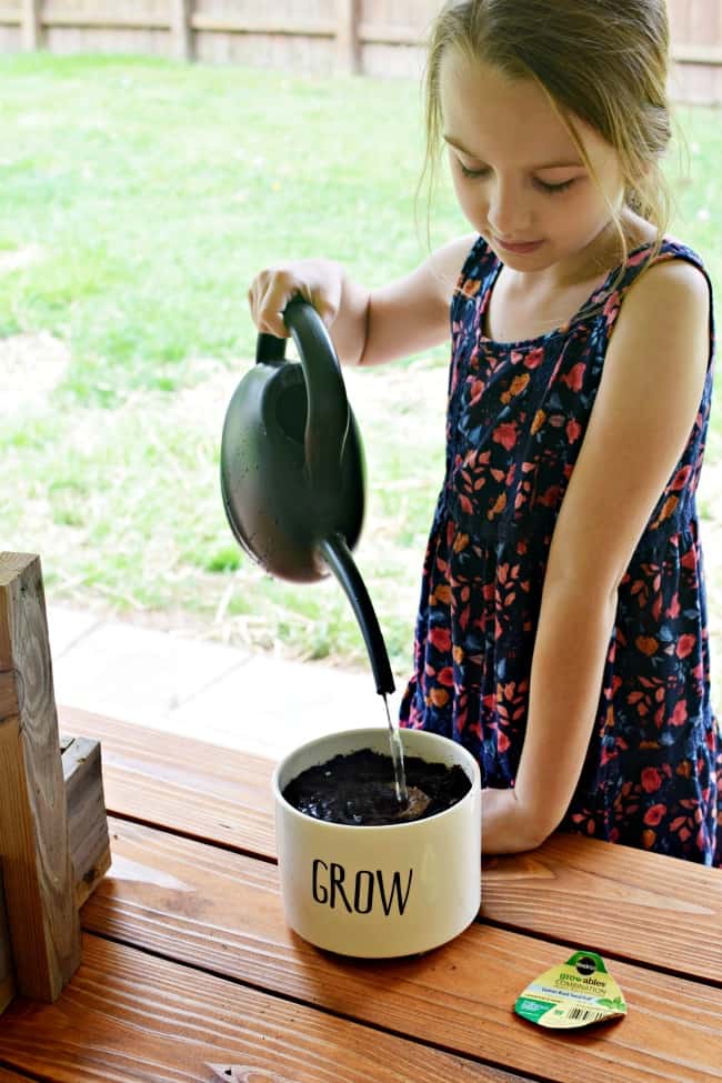 Get your kids outside this spring and summer with these easy gardening with kids tips to grow a garden fit for the whole family.