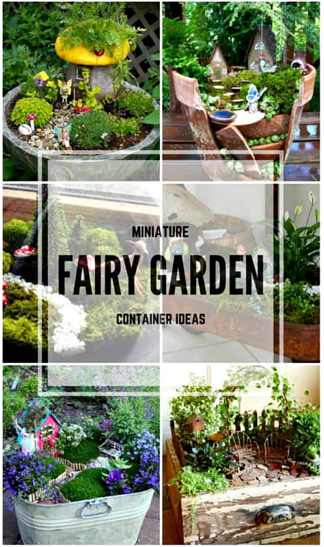 You can create your own little world with these miniature fairy garden ideas.