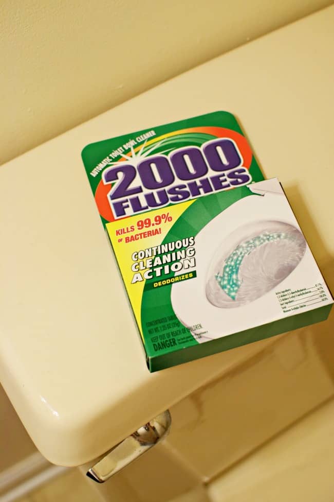 2000-flushes