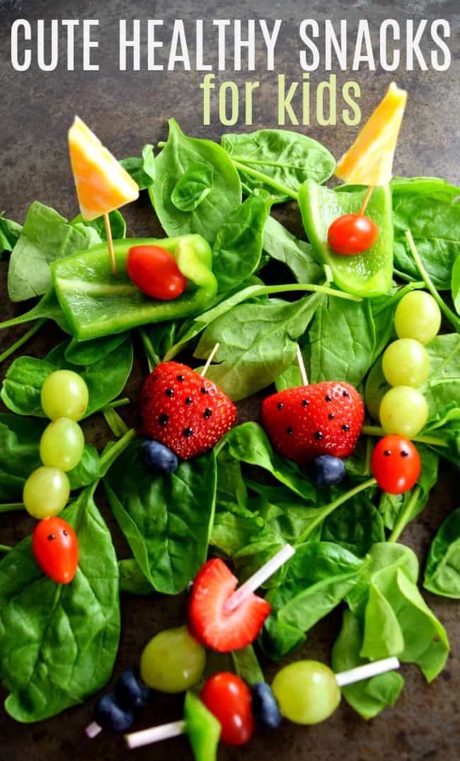 Head back to school with a lunch box full of cute healthy snacks for kids! Full of lutein rich nutrients great for focus and memory.