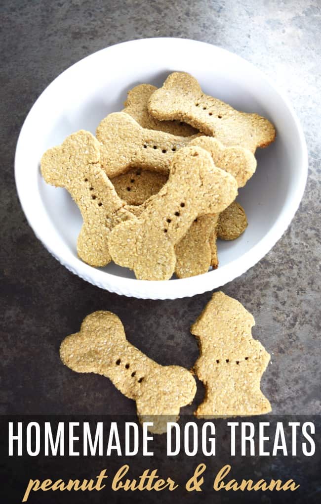 This homemade dog treats recipe is a nutritious and tasty treat that any dog would love. Skip the store bought dog treats and go homemade.