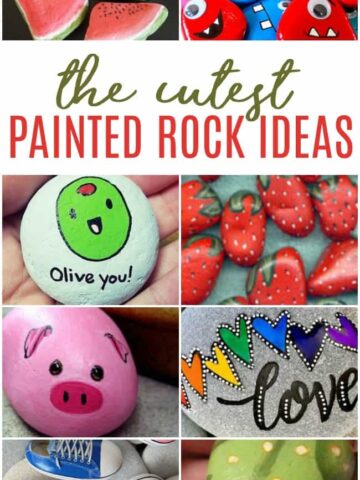 Want to join in on the painted rock fun for an inexpensive family activity? Check out these painted rock ideas to get you started.