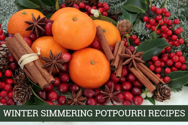 These simmering potpourri recipes will have your house smelling heavenly with the delicious scents of whatever season you are craving.