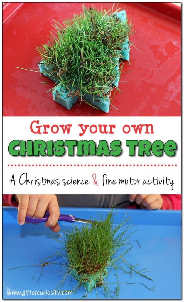GrowyourownChristmastree Today's Creative Ideas