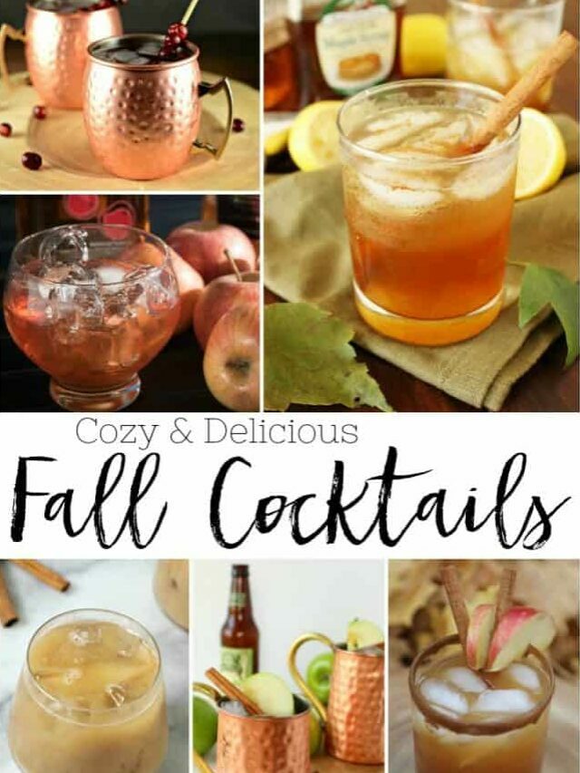 20+ Best Fall Cocktails | Today's Creative Ideas