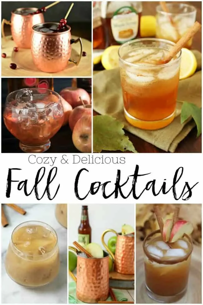 If fall is your favorite time of the year then you will not want to miss out on these fall cocktails. These cozy and delicious drink recipes are infused with alcohol and all of your favorite fall flavors. 
