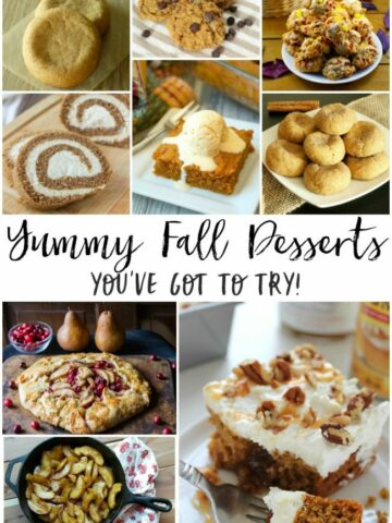 Capture the sweet and yummy flavors of the fall season in recipes for pumpkin pies, spice cookies, cranberry galettes and many more fall desserts. With pumpkins and apples all ripe and ready for the picking, it's a perfect time to make some sweet desserts and festive treats.