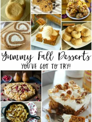 Capture the sweet and yummy flavors of the fall season in recipes for pumpkin pies, spice cookies, cranberry galettes and many more fall desserts. With pumpkins and apples all ripe and ready for the picking, it's a perfect time to make some sweet desserts and festive treats.