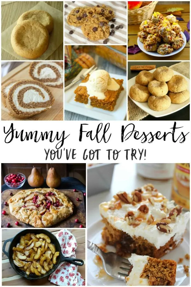 Capture the sweet and yummy flavors of the fall season in recipes for pumpkin pies, spice cookies, cranberry galettes and many more fall desserts. With pumpkins and apples all ripe and ready for the picking, it's a perfect time to make some sweet desserts and festive treats.