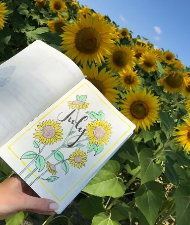 July Bullet Journal Ideas using Bullet Journal Printables — Sunflower Child  Designs