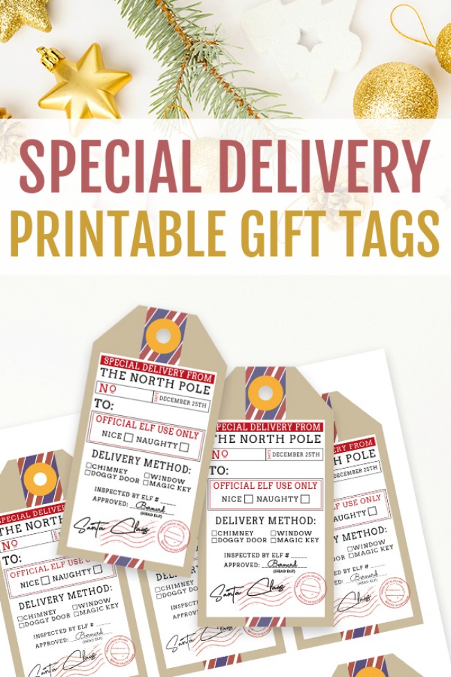 official-santa-delivery-tags-chrismas-naughty-nice-zazzle-santa-gift-tags-naughty-or