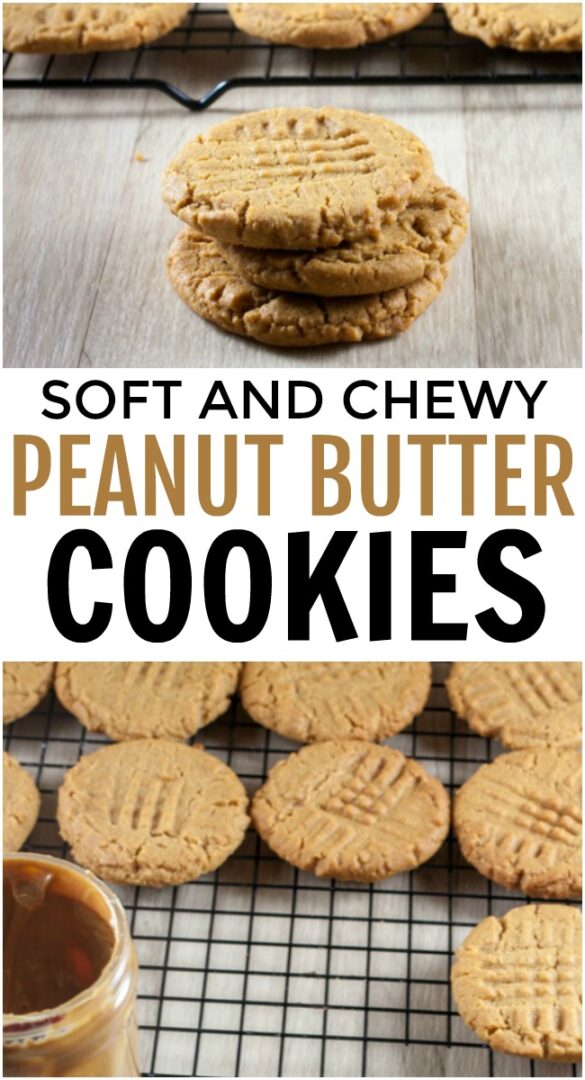 Soft and Chewy Peanut Butter Cookies | Today's Creative Ideas