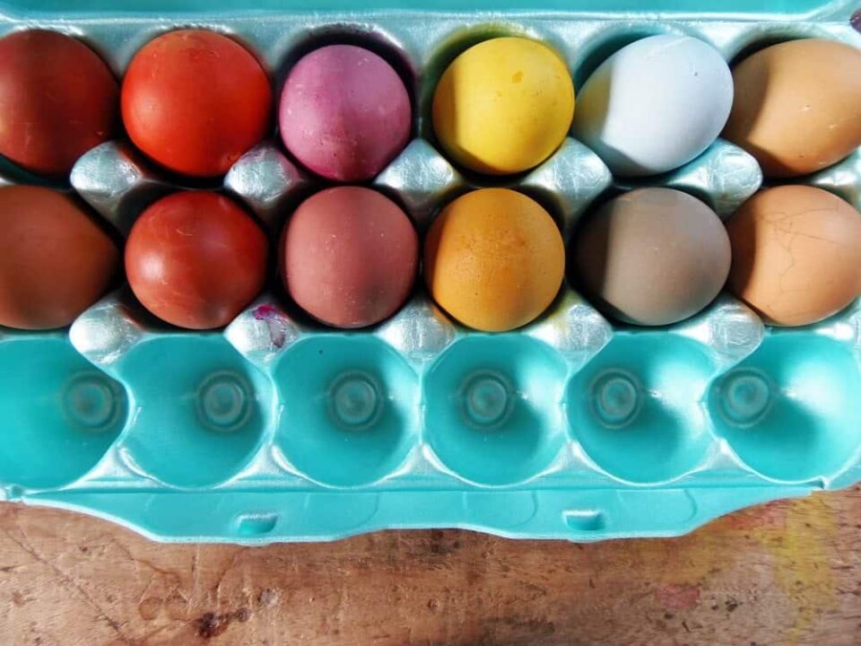 Best Way to Dye Easter Eggs Today's Creative Ideas