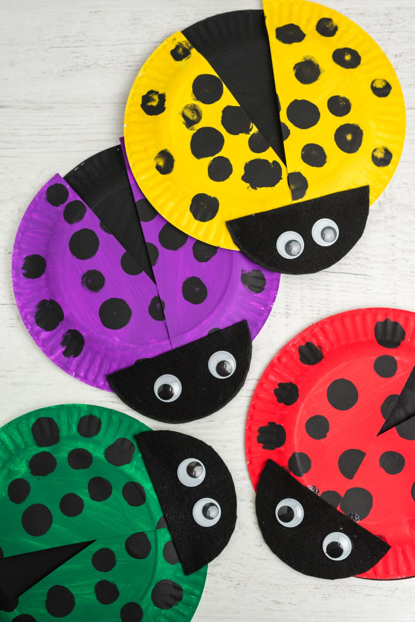 Various color paper plate ladybugs