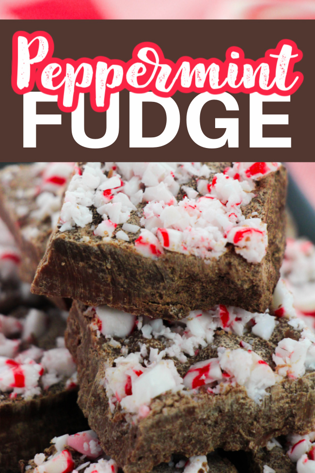 This photo features a plate of peppermint fudge with the logo as the same.