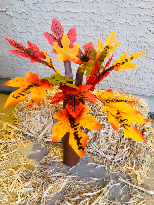 This photo features a fall thankful tree made from a paper towel roll with fall leaves wrote on with what everyone is thankful for. 