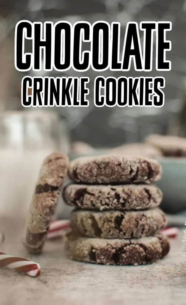 This photo features a stack of vegan chocolate crinkle cookies.