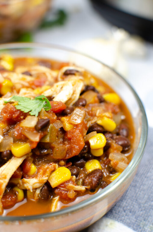 Taco Soup Recipe with Rotel and Black Beans | Today's Creative Ideas