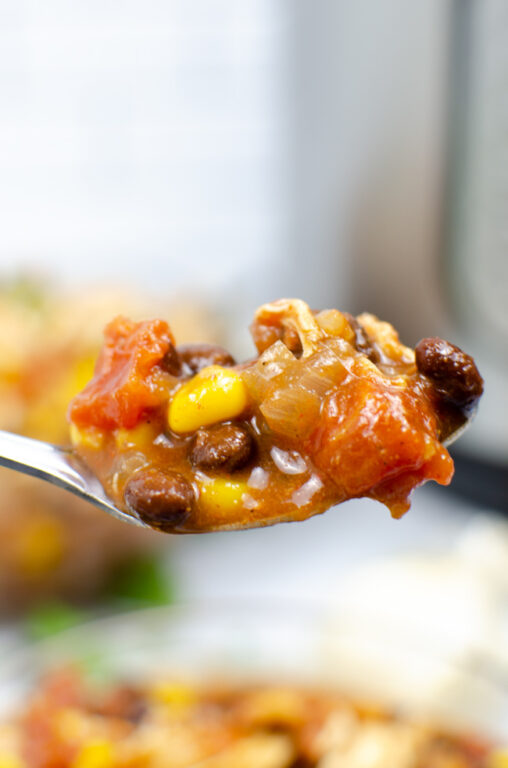 Taco Soup Recipe with Rotel and Black Beans | Today's Creative Ideas