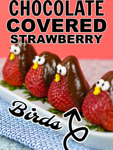 Chocolate Covered Strawberries that are decorated as birds