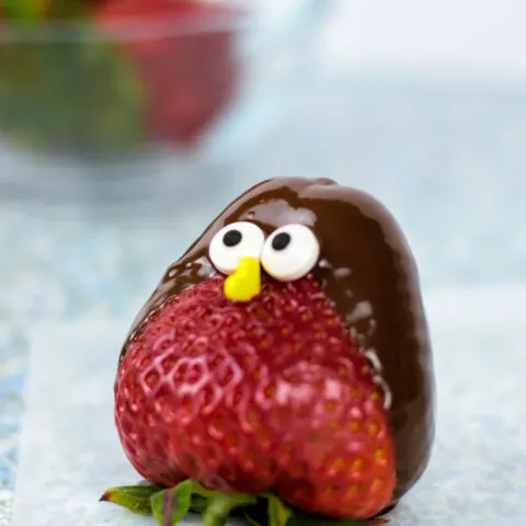 Chocolate Covered Strawberry Birds